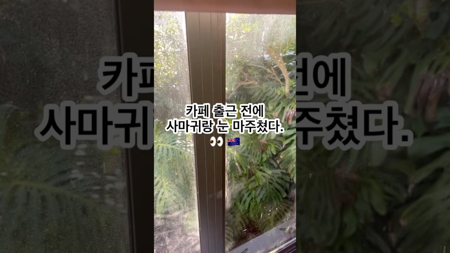 1750930327 maxresdefault infoshare - nz immigration news / 뉴질랜드 이민정보