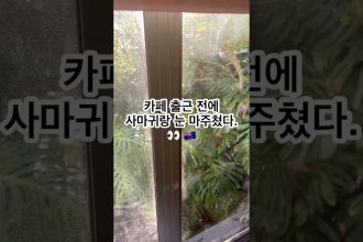 1750930327 maxresdefault infoshare - nz immigration news / 뉴질랜드 이민정보