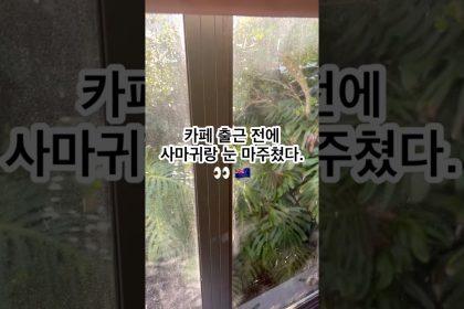 1750930327 maxresdefault infoshare - nz immigration news / 뉴질랜드 이민정보