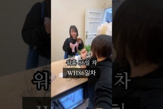 1750941609 maxresdefault infoshare - nz immigration news / 뉴질랜드 이민정보