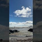 1751181008 maxresdefault infoshare - nz immigration news / 뉴질랜드 이민정보