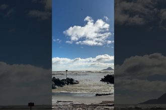 1751181008 maxresdefault infoshare - nz immigration news / 뉴질랜드 이민정보
