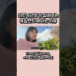 1751267531 maxresdefault infoshare - nz immigration news / 뉴질랜드 이민정보