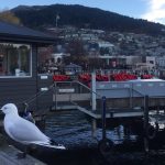 1751273529 maxresdefault infoshare - nz immigration news / 뉴질랜드 이민정보