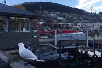 1751273529 maxresdefault infoshare - nz immigration news / 뉴질랜드 이민정보