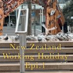 1751280129 maxresdefault infoshare - nz immigration news / 뉴질랜드 이민정보