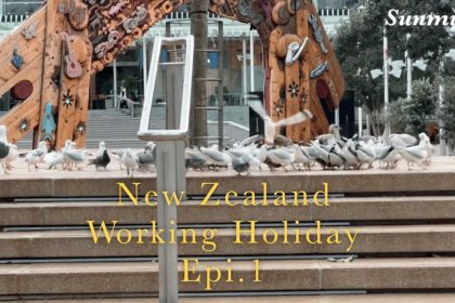 1751280129 maxresdefault infoshare - nz immigration news / 뉴질랜드 이민정보