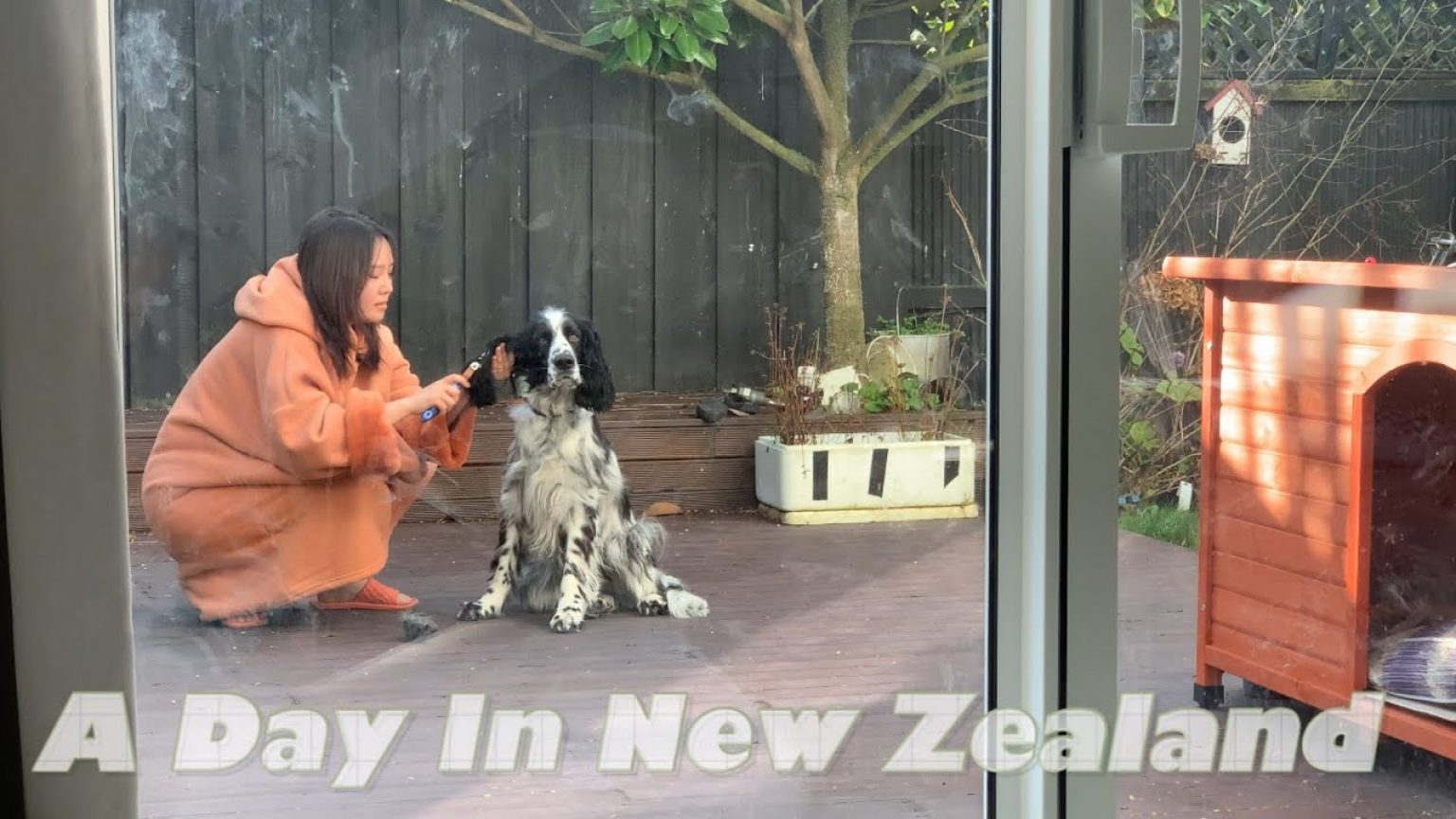 1751361249 maxresdefault infoshare - nz immigration news / 뉴질랜드 이민정보