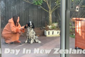 1751361249 maxresdefault infoshare - nz immigration news / 뉴질랜드 이민정보
