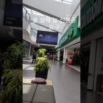 1751442066 maxresdefault infoshare - nz immigration news / 뉴질랜드 이민정보