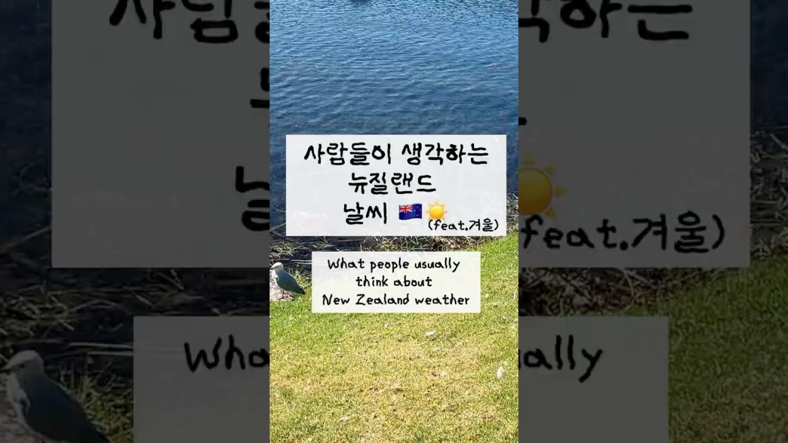 1751543467 maxresdefault infoshare - nz immigration news / 뉴질랜드 이민정보