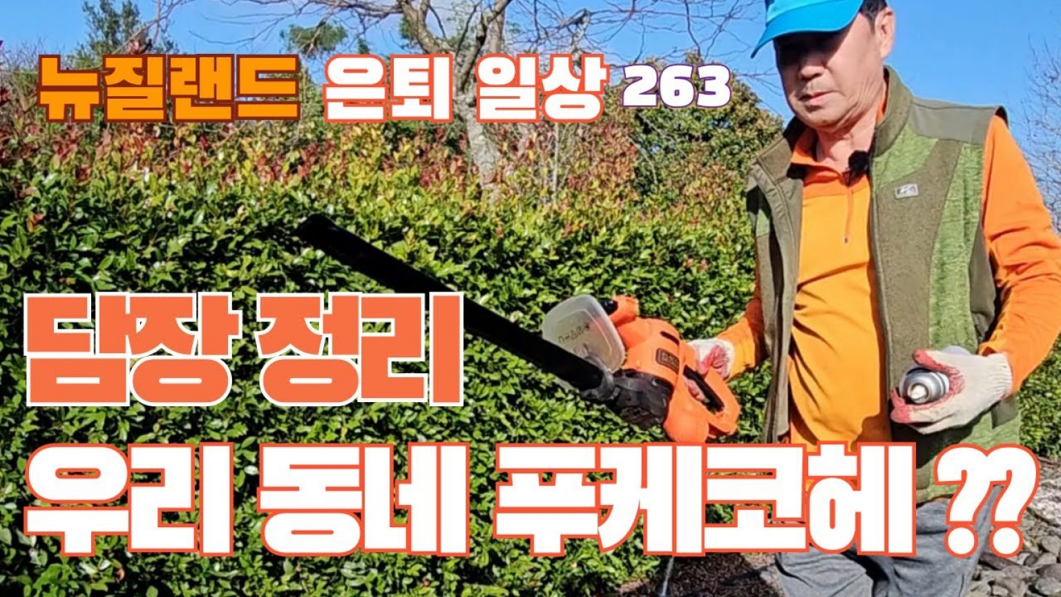 1751709067 maxresdefault infoshare - nz immigration news / 뉴질랜드 이민정보