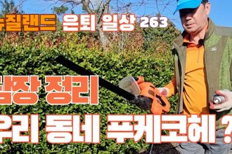 1751709067 maxresdefault infoshare - nz immigration news / 뉴질랜드 이민정보