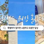 1751786230 maxresdefault infoshare - nz immigration news / 뉴질랜드 이민정보