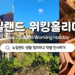 1751969171 maxresdefault infoshare - nz immigration news / 뉴질랜드 이민정보