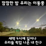 1752224828 maxresdefault infoshare - nz immigration news / 뉴질랜드 이민정보