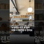 1752478088 maxresdefault infoshare - nz immigration news / 뉴질랜드 이민정보