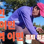 1752755347 maxresdefault infoshare - nz immigration news / 뉴질랜드 이민정보