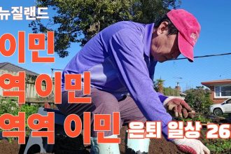 1752755347 maxresdefault infoshare - nz immigration news / 뉴질랜드 이민정보