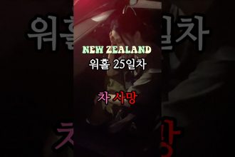 1752830589 maxresdefault infoshare - nz immigration news / 뉴질랜드 이민정보