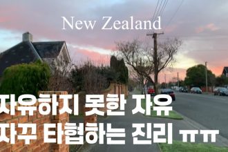 1753089609 maxresdefault infoshare - nz immigration news / 뉴질랜드 이민정보