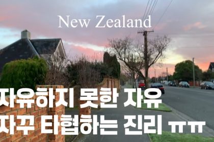 1753089609 maxresdefault infoshare - nz immigration news / 뉴질랜드 이민정보