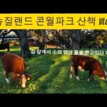 1753097769 hqdefault infoshare - nz immigration news / 뉴질랜드 이민정보