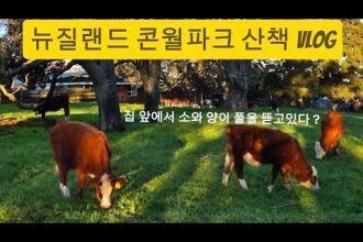1753097769 hqdefault infoshare - nz immigration news / 뉴질랜드 이민정보