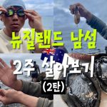 1753259289 maxresdefault infoshare - nz immigration news / 뉴질랜드 이민정보