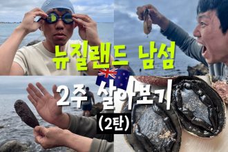 1753259289 maxresdefault infoshare - nz immigration news / 뉴질랜드 이민정보
