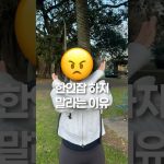 1753442290 maxresdefault infoshare - nz immigration news / 뉴질랜드 이민정보