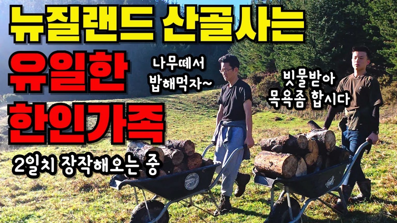 1753688409 maxresdefault infoshare - nz immigration news / 뉴질랜드 이민정보