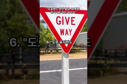 1753786149 maxresdefault infoshare - nz immigration news / 뉴질랜드 이민정보