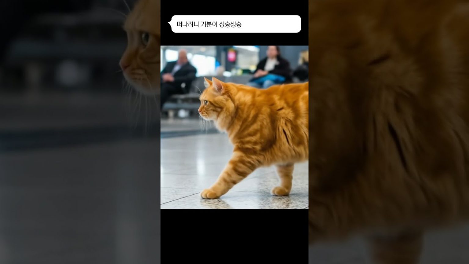 1753956128 maxresdefault infoshare - nz immigration news / 뉴질랜드 이민정보