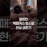 1754118189 maxresdefault infoshare - nz immigration news / 뉴질랜드 이민정보