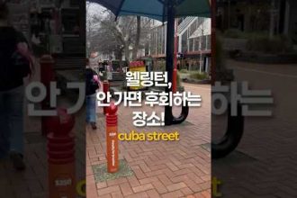 1754204709 hqdefault infoshare - nz immigration news / 뉴질랜드 이민정보