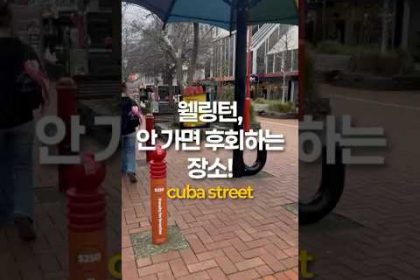 1754204709 hqdefault infoshare - nz immigration news / 뉴질랜드 이민정보