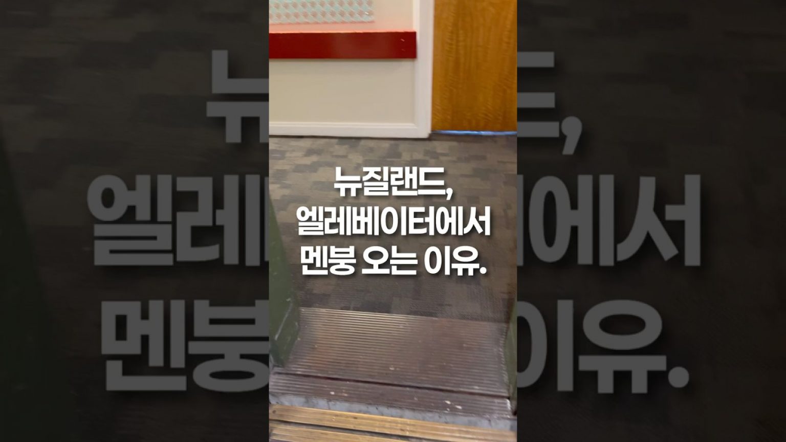 1754205368 maxresdefault infoshare - nz immigration news / 뉴질랜드 이민정보