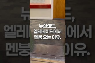 1754205368 maxresdefault infoshare - nz immigration news / 뉴질랜드 이민정보