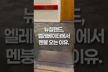 1754205368 maxresdefault infoshare - nz immigration news / 뉴질랜드 이민정보