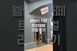 1754206031 maxresdefault infoshare - nz immigration news / 뉴질랜드 이민정보