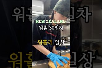 1754206687 maxresdefault infoshare - nz immigration news / 뉴질랜드 이민정보