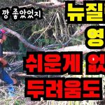 1754210648 maxresdefault infoshare - nz immigration news / 뉴질랜드 이민정보