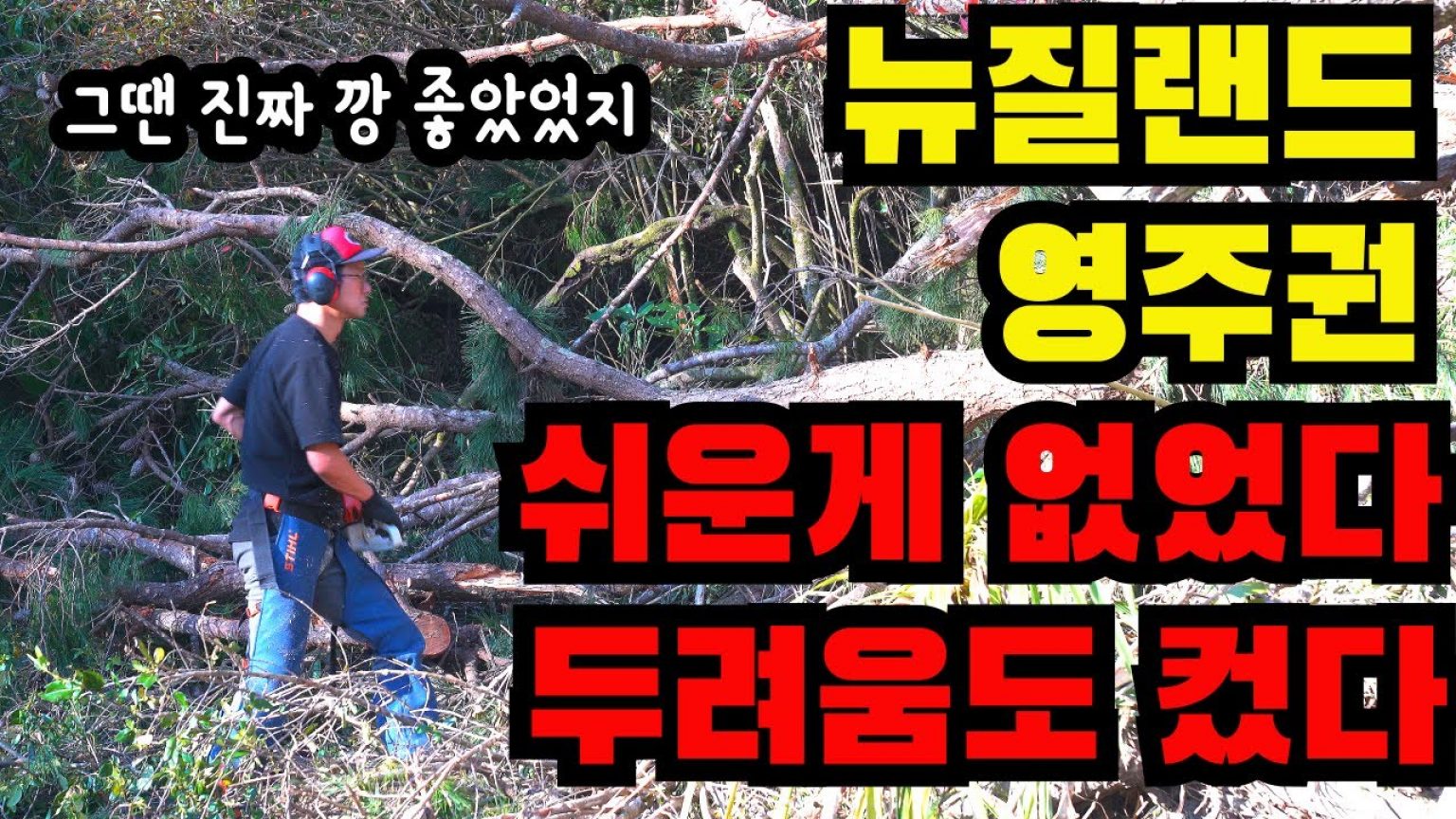 1754210648 maxresdefault infoshare - nz immigration news / 뉴질랜드 이민정보