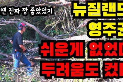 1754210648 maxresdefault infoshare - nz immigration news / 뉴질랜드 이민정보