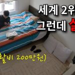 1754306948 maxresdefault infoshare - nz immigration news / 뉴질랜드 이민정보
