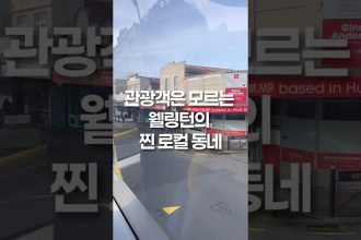 1754384049 maxresdefault infoshare - nz immigration news / 뉴질랜드 이민정보