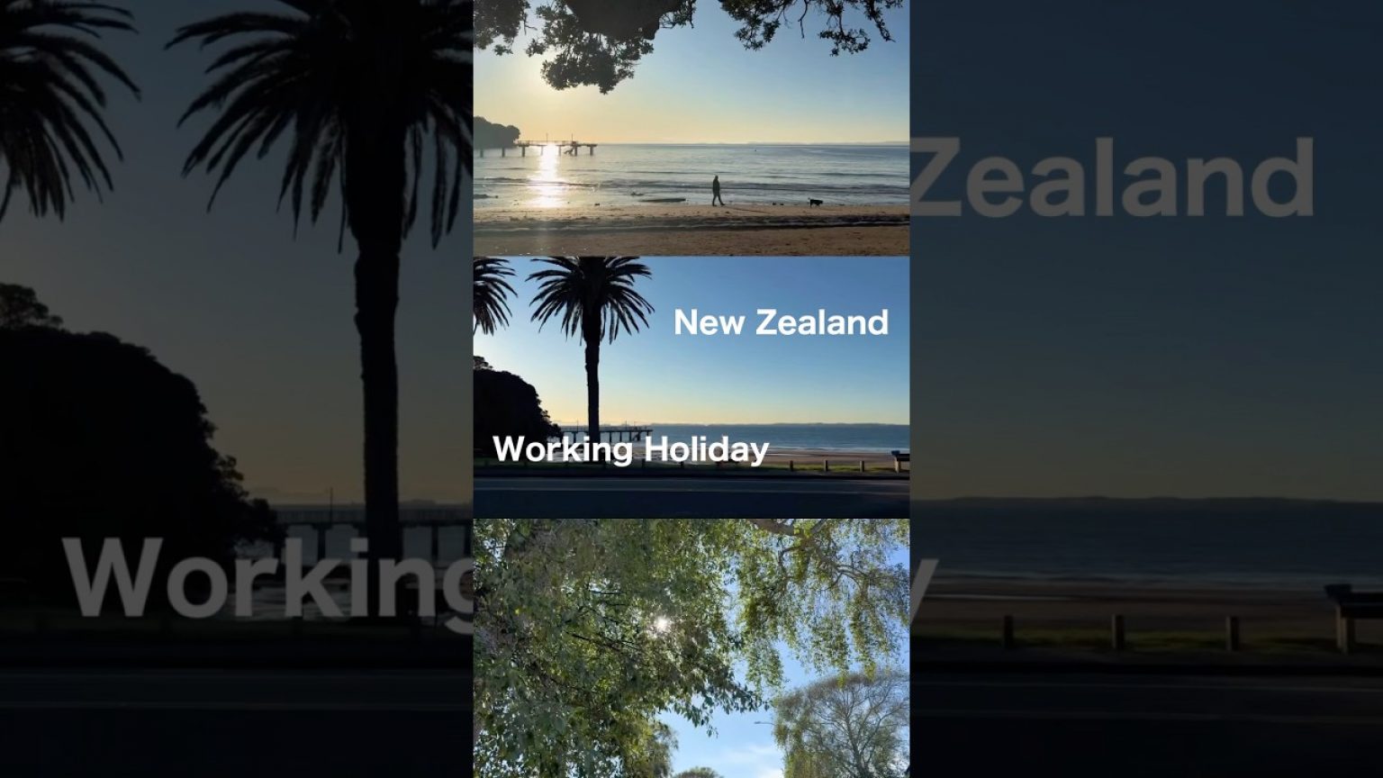 1754469189 maxresdefault infoshare - nz immigration news / 뉴질랜드 이민정보