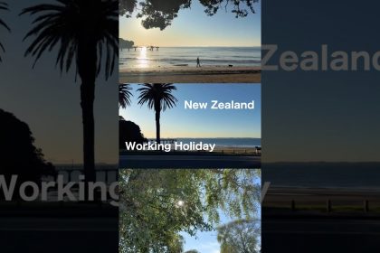 1754469189 maxresdefault infoshare - nz immigration news / 뉴질랜드 이민정보