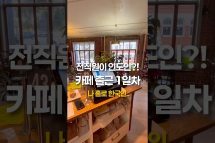 1754478549 maxresdefault infoshare - nz immigration news / 뉴질랜드 이민정보